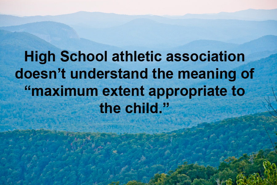 Athletics and IDEA — Make Special Education Work