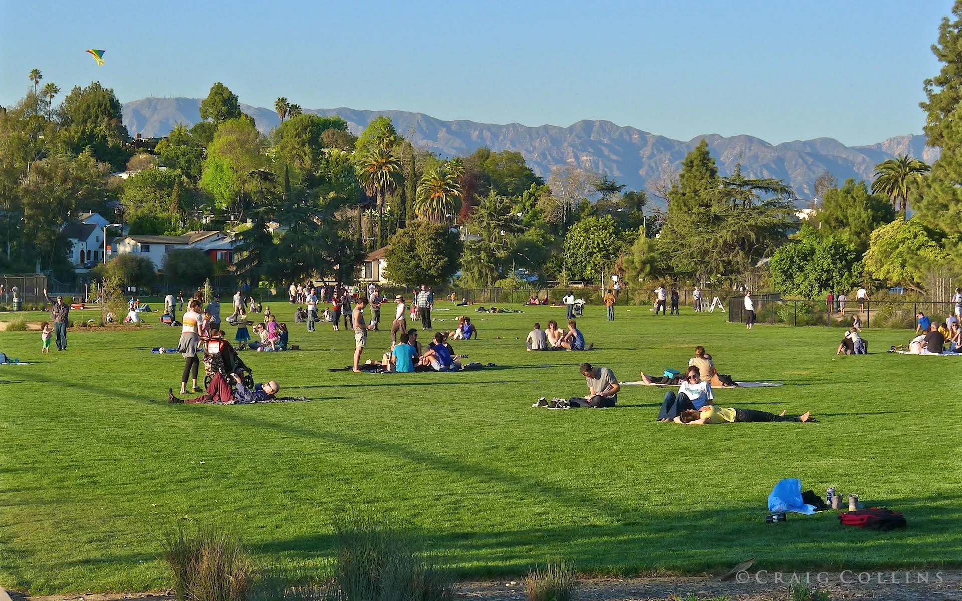 meadow+crowd.jpg