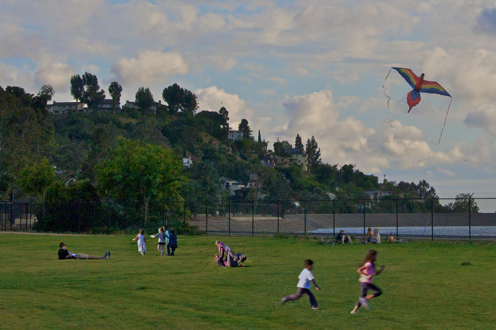 The Meadow is 3.5 acres of open space to be enjoyed by all.