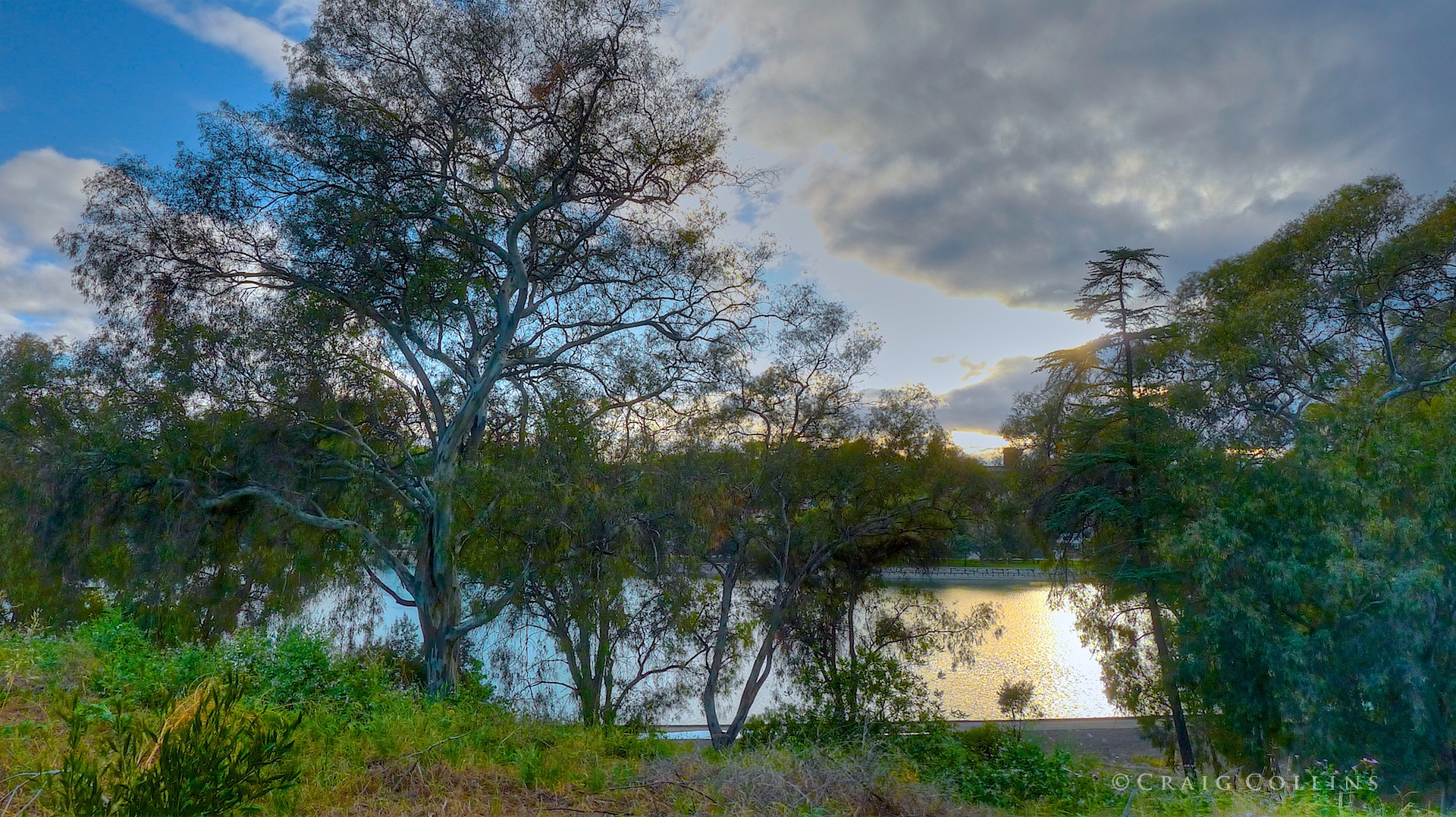 View from the 5-acre Knoll, currently behind fences.