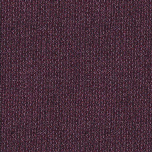 V2-50159505