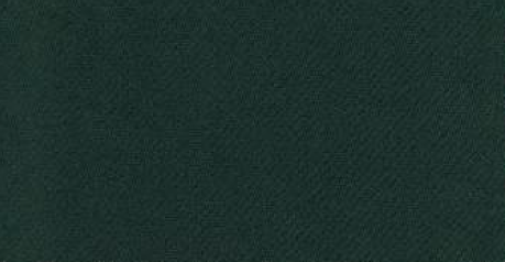 G47815-20 Hunter Green.png