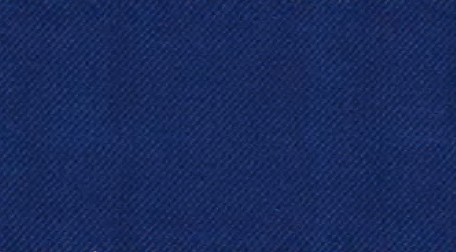 G47815-17 Fr Blue.png