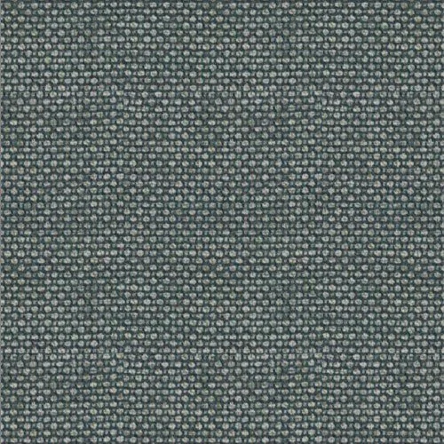V2-51159363