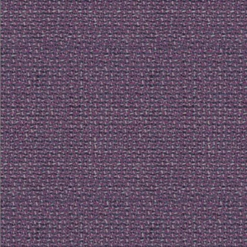V2-50159503