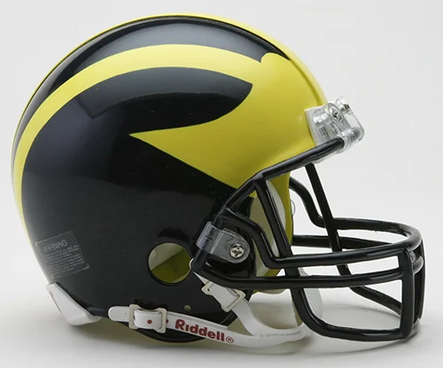 Picking Michigan - Your Proceeds Go to the ChadTough Foundation