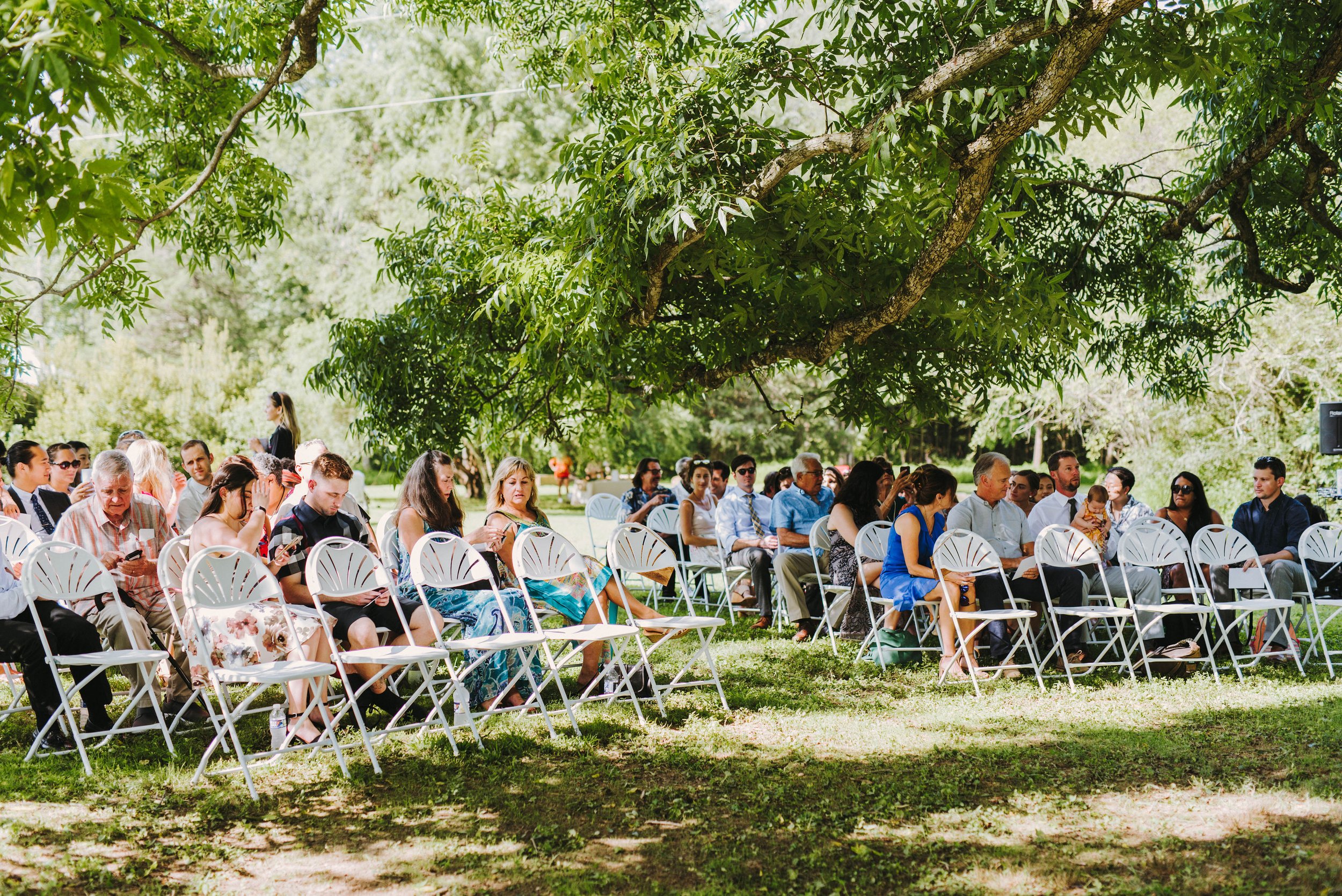 pecan tree ceremony with guests.jpg