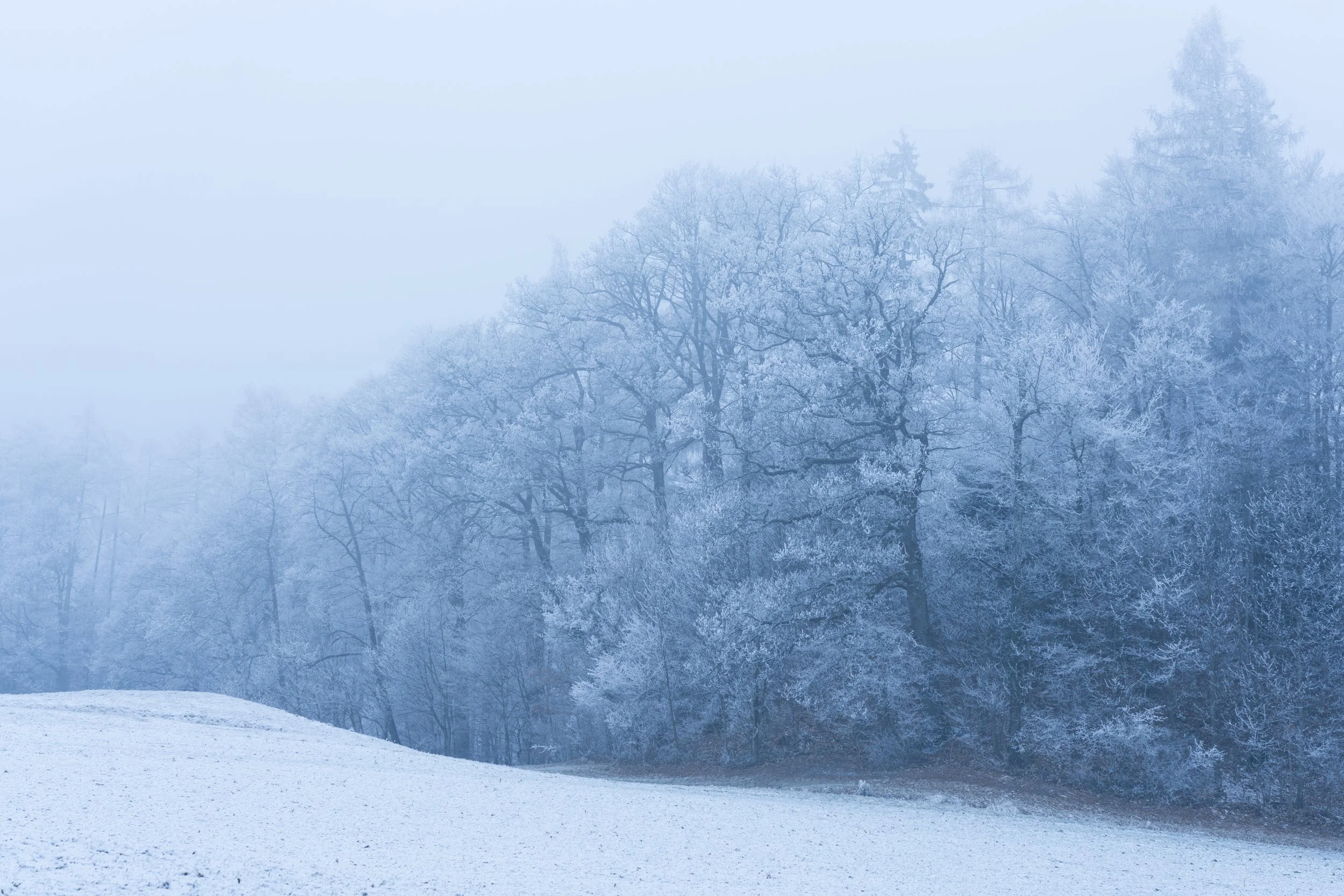 Winter Frost Valens - 3