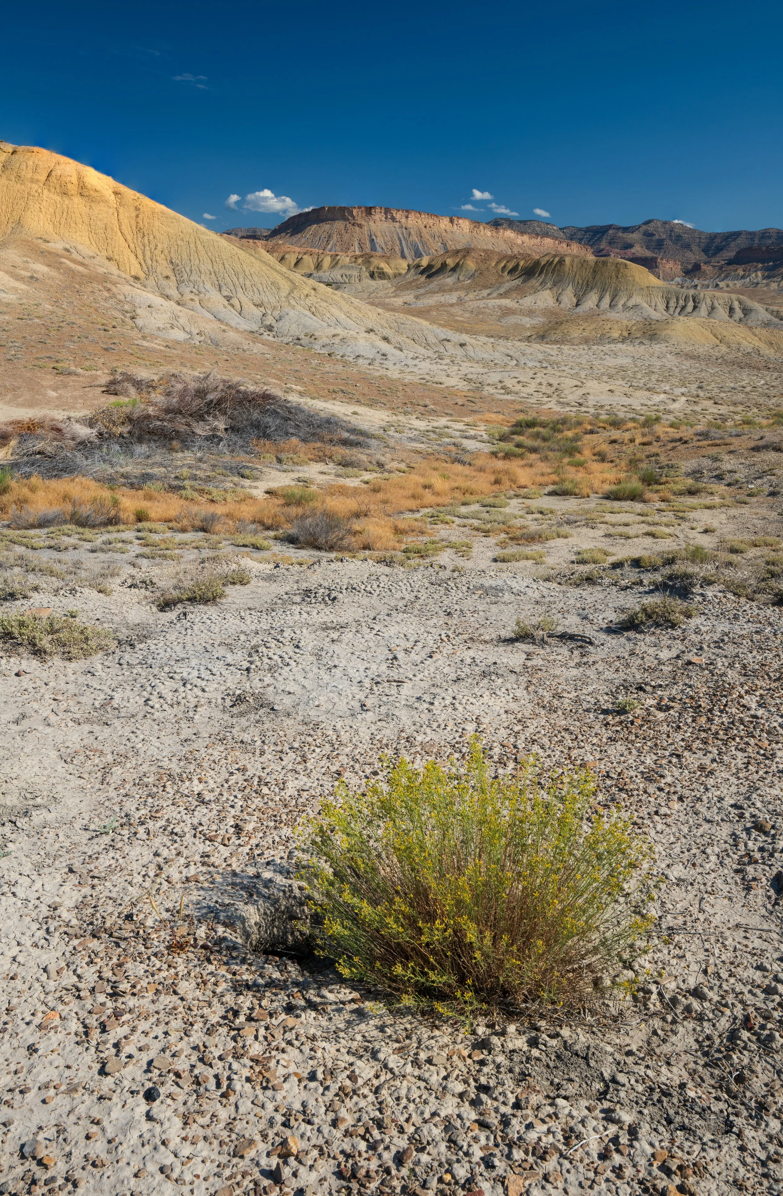 Wonderful colors of Utah 