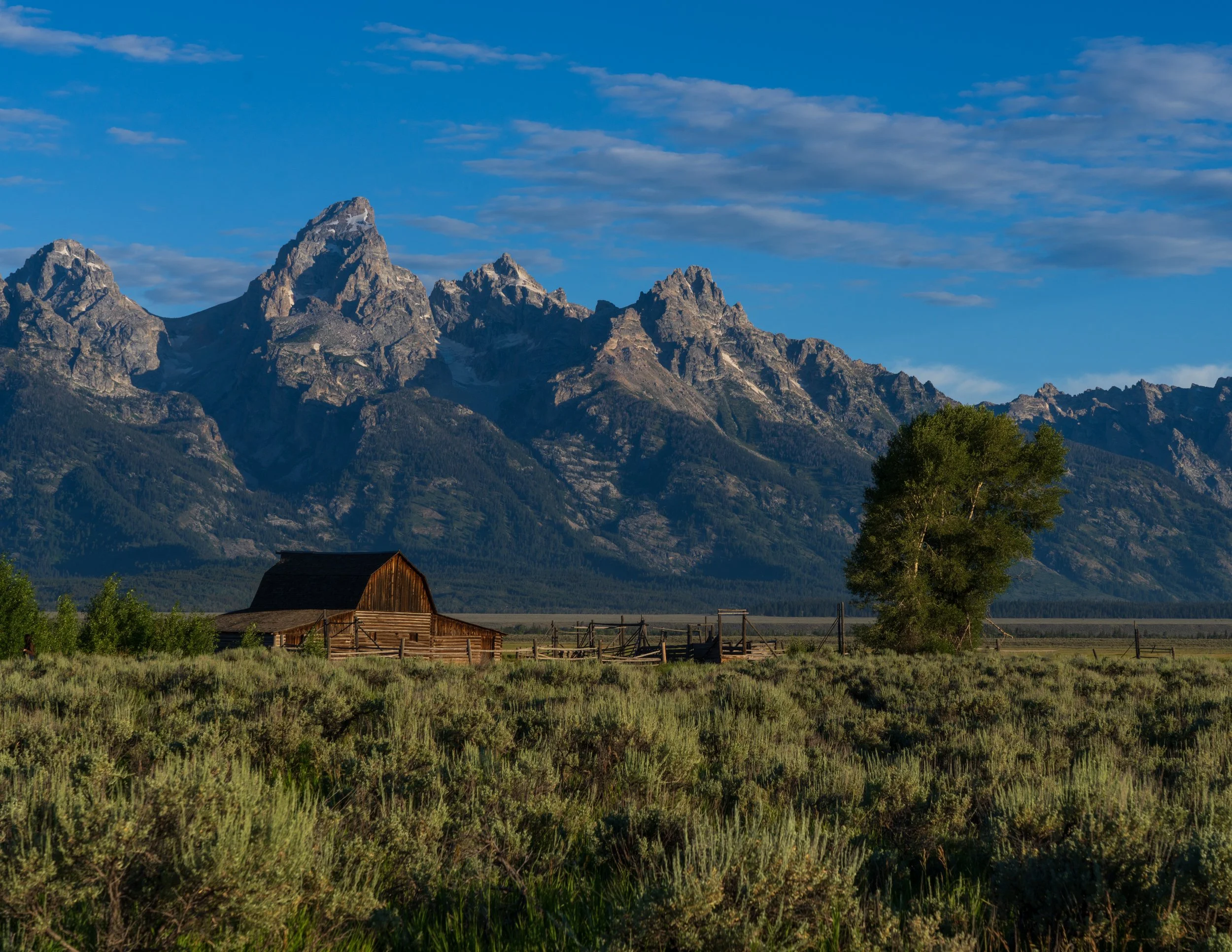 Classic Grand Teton View - John Moulton Homestead