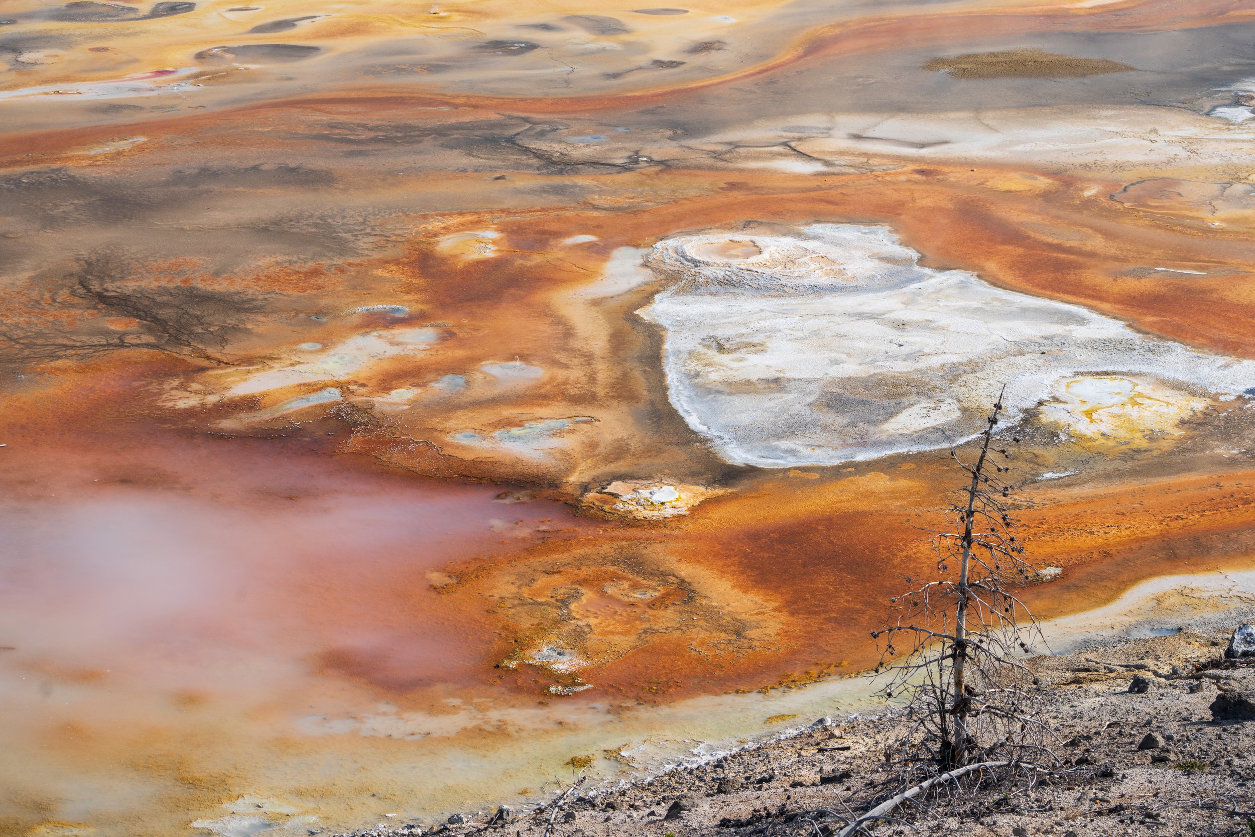 Wonderful Yellowstone Colors II - Norris Geyser Basin - Yellowstone National Park