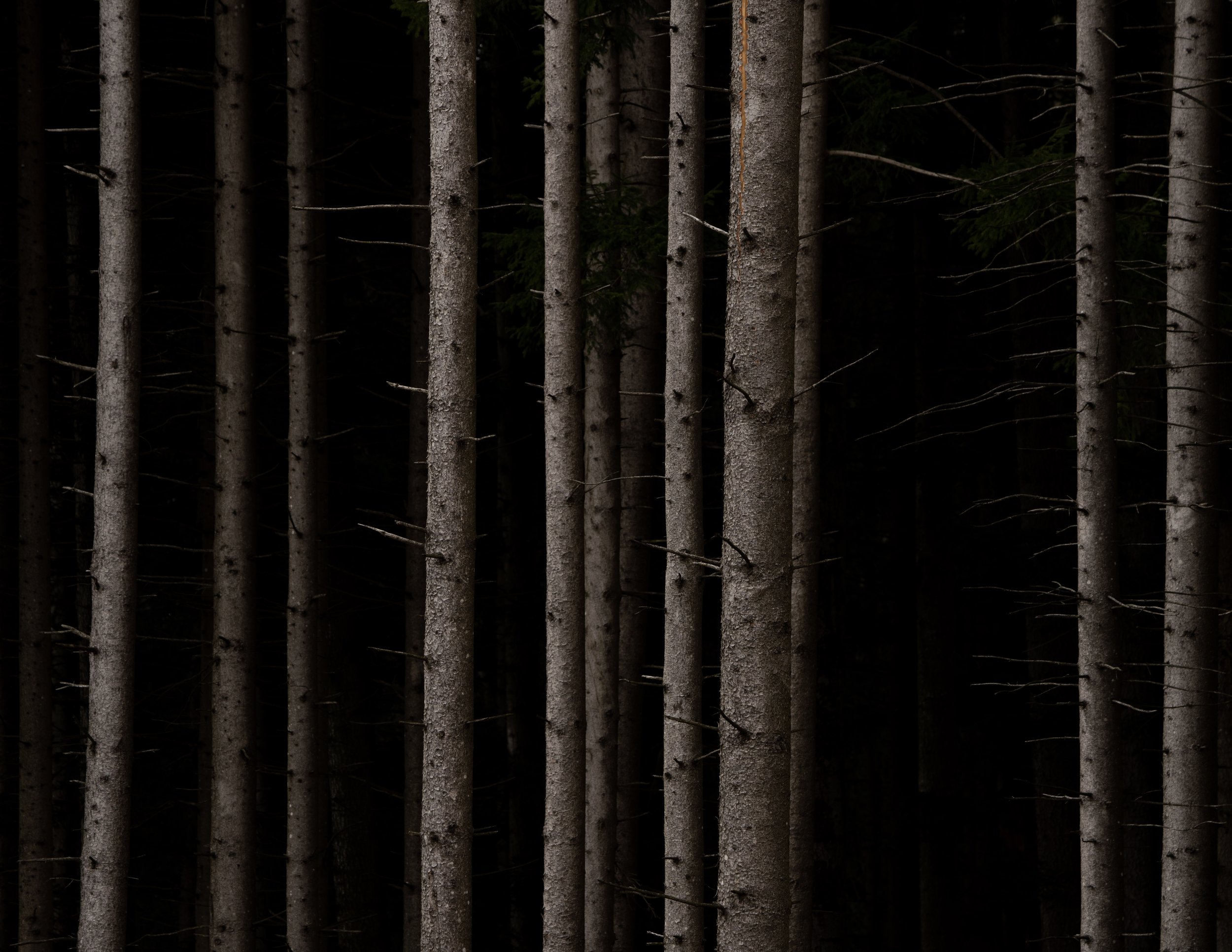 A7R03028.jpg