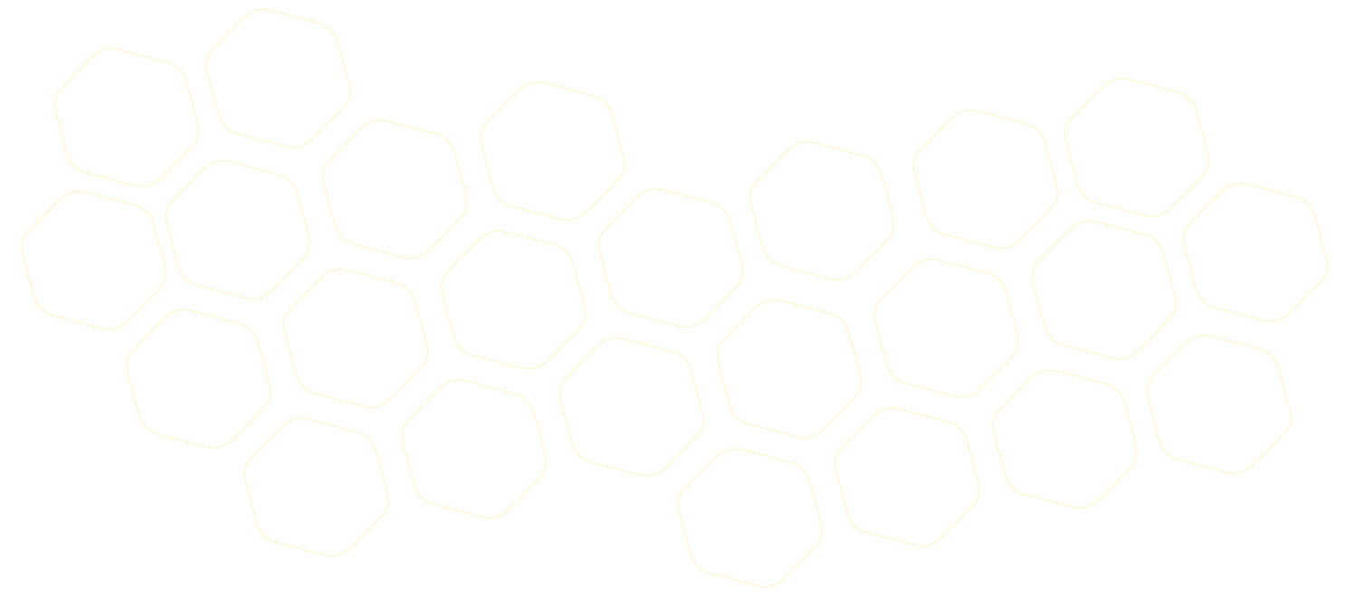 bg3.gif
