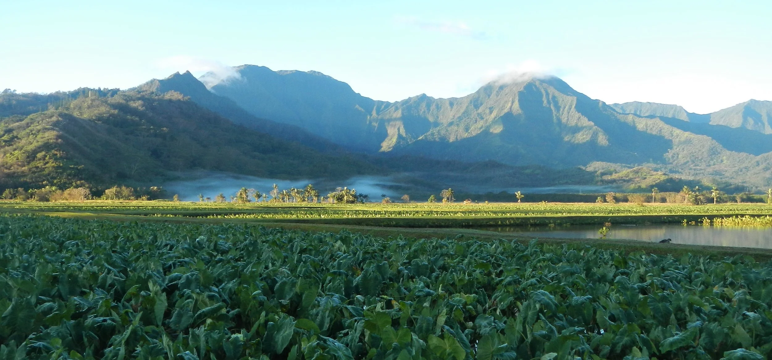 Water Quality Reports — Princeville Utilities Company Inc.