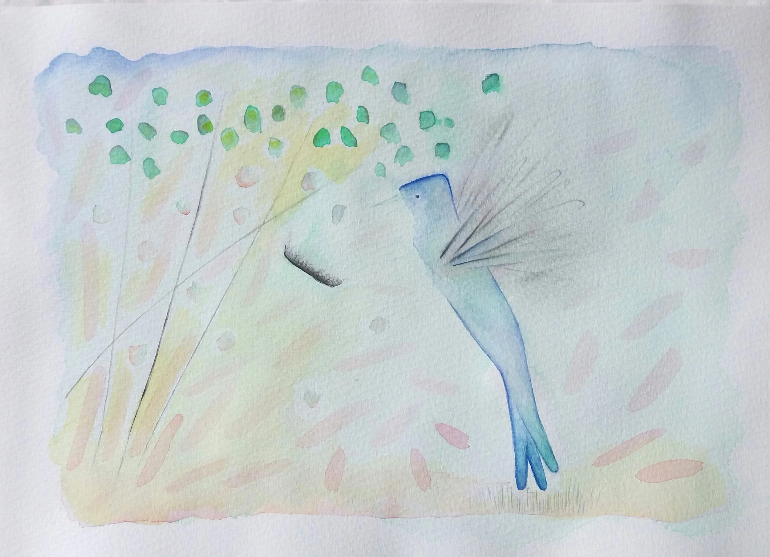 2019-Colibri.jpg