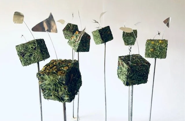 5.SANCTUARY_Close uppeg.jpeg