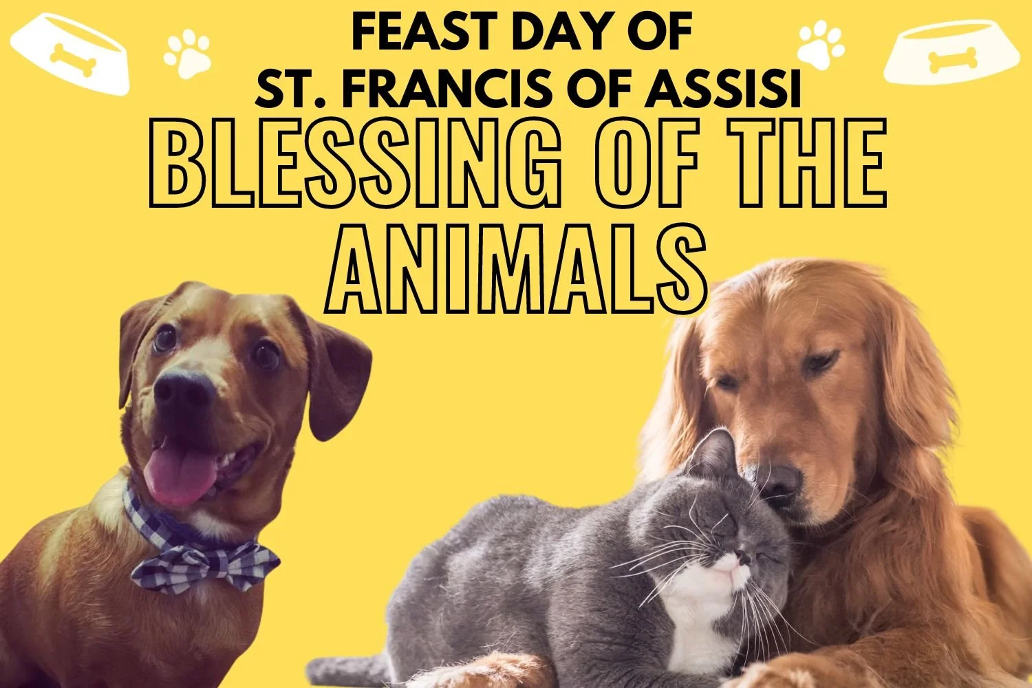 Blessing of the Animals