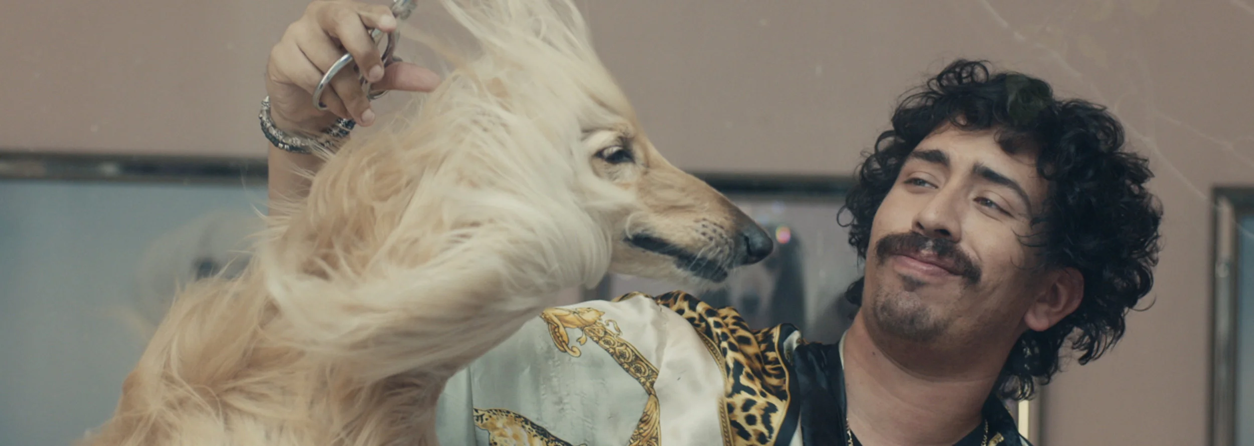  Trulia is a real estate listing site that goes beyond the traditional home listing to show people what living in the neighborhood is like. And neighborhoods are full of fun and interesting characters. So who better to take you through all the listin