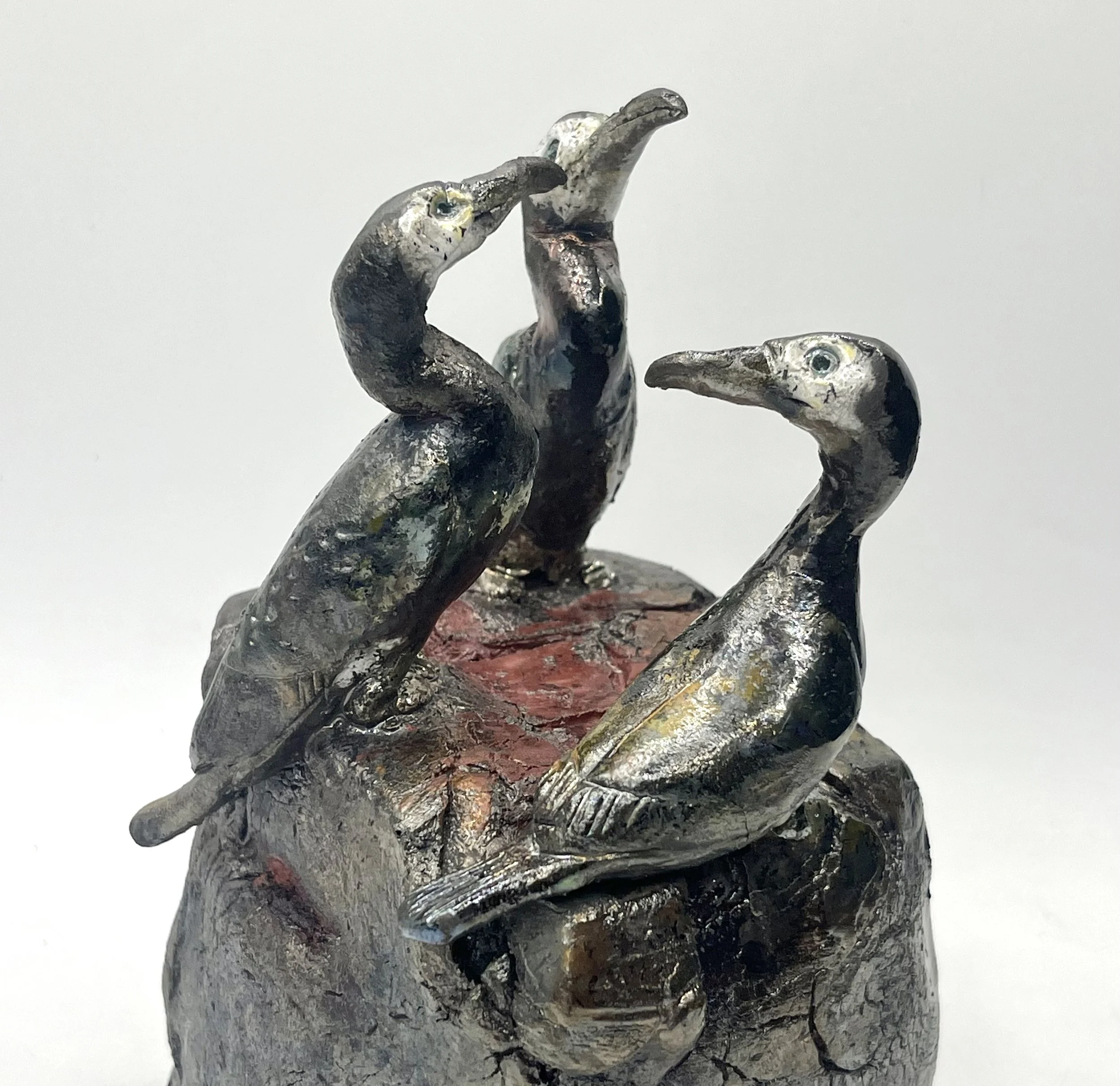 3 cormorants on rock.jpg