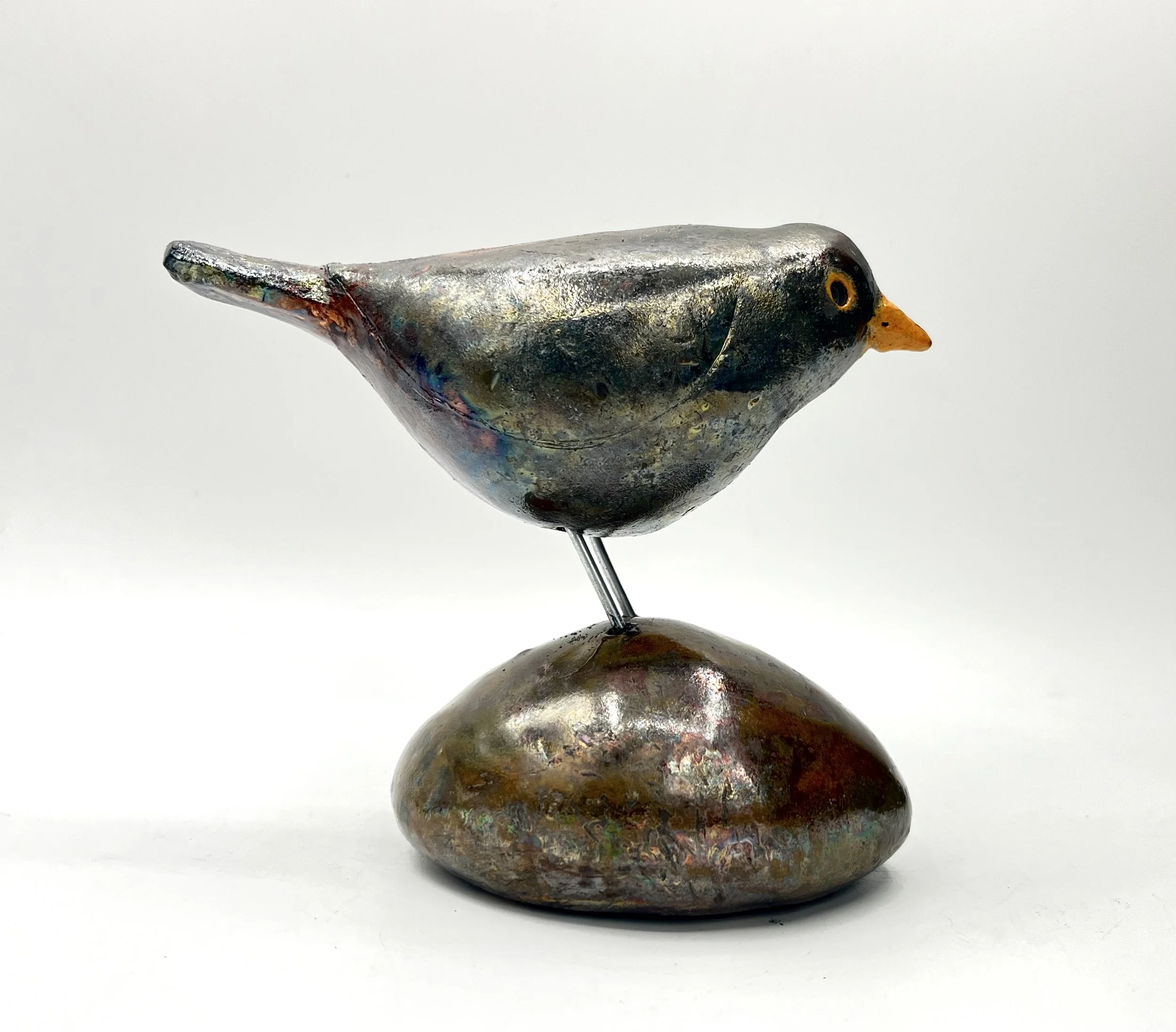 Blackbird