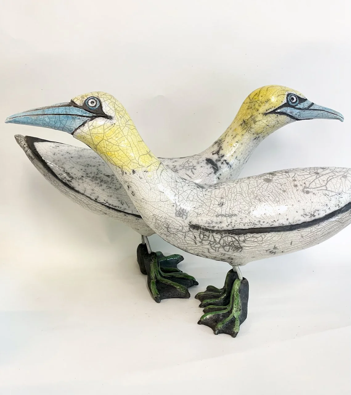 Gannets