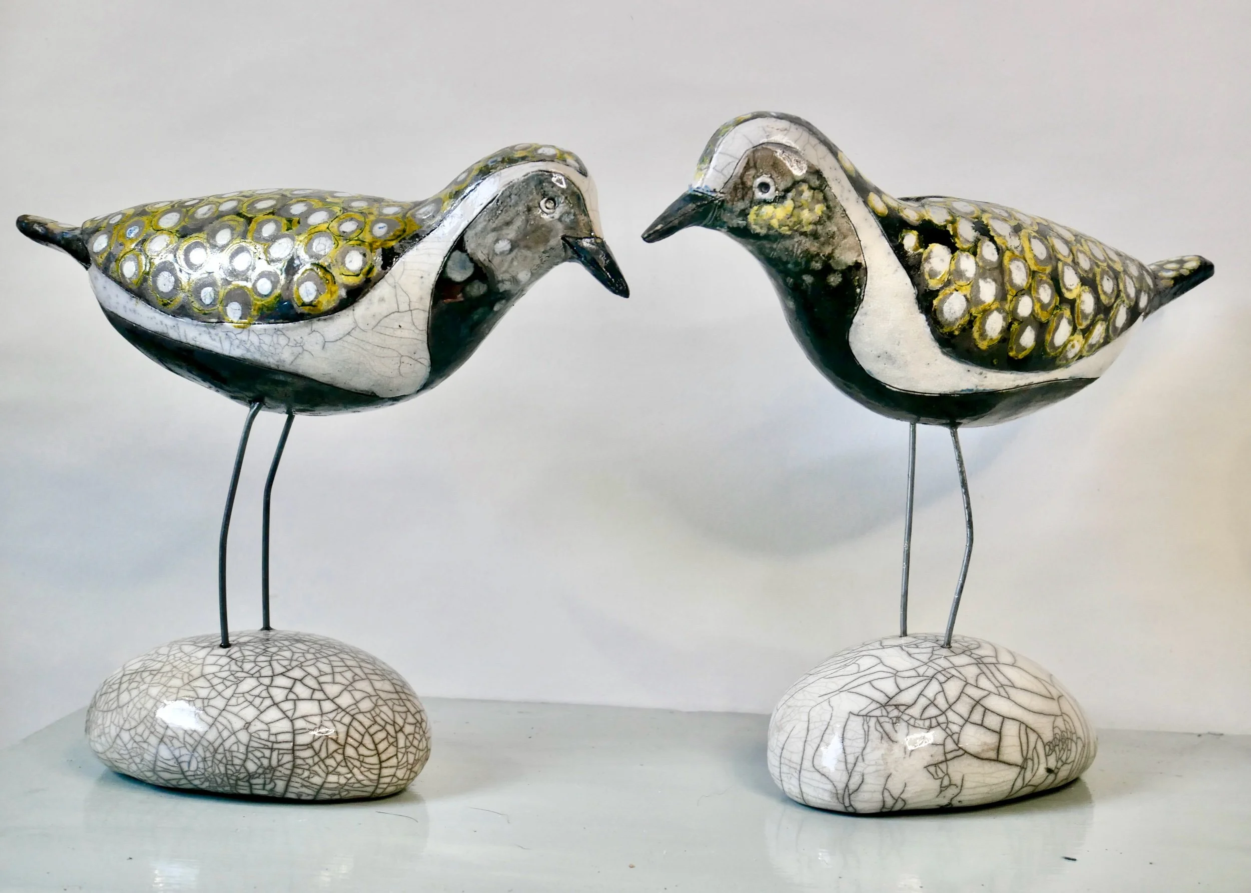 Golden plover