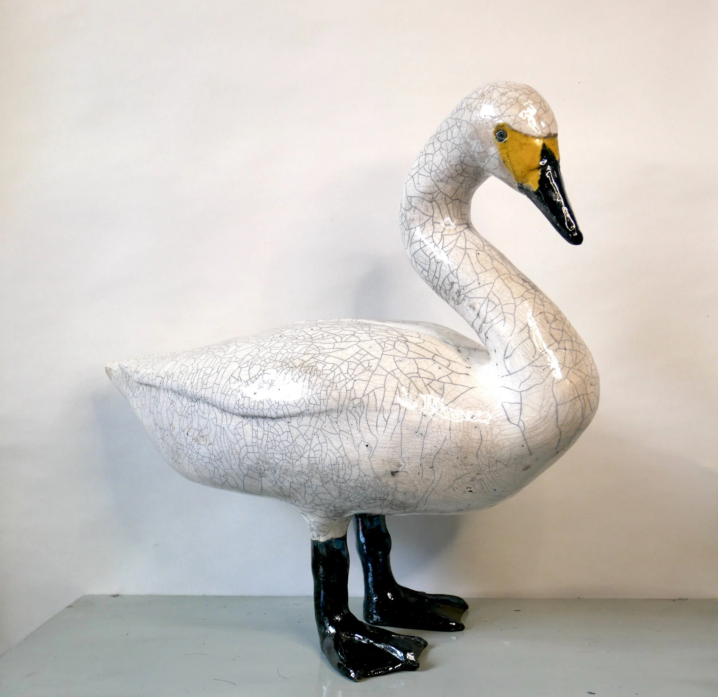 Bewick's (Tundra) swan