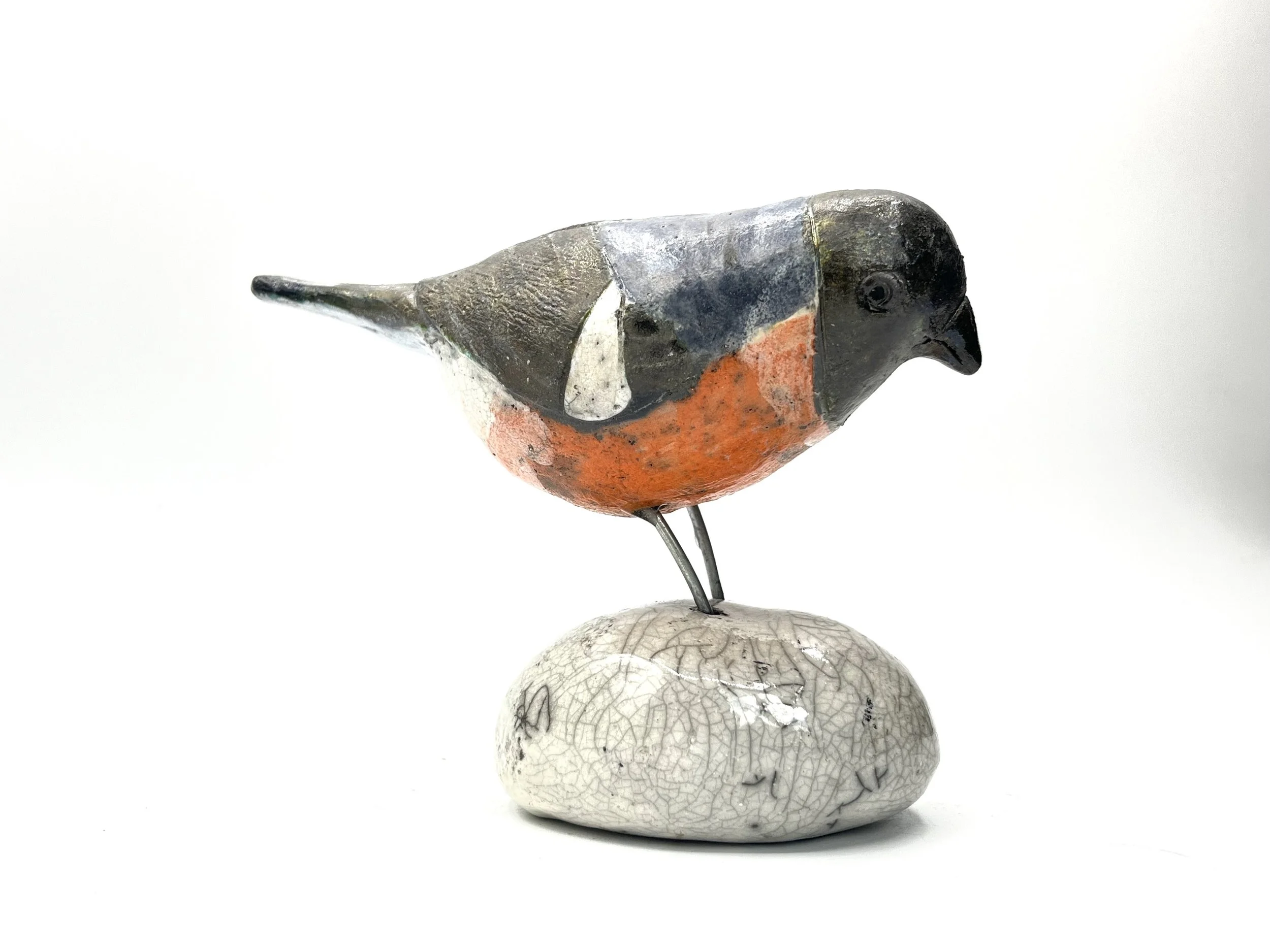 Bullfinch2.jpg