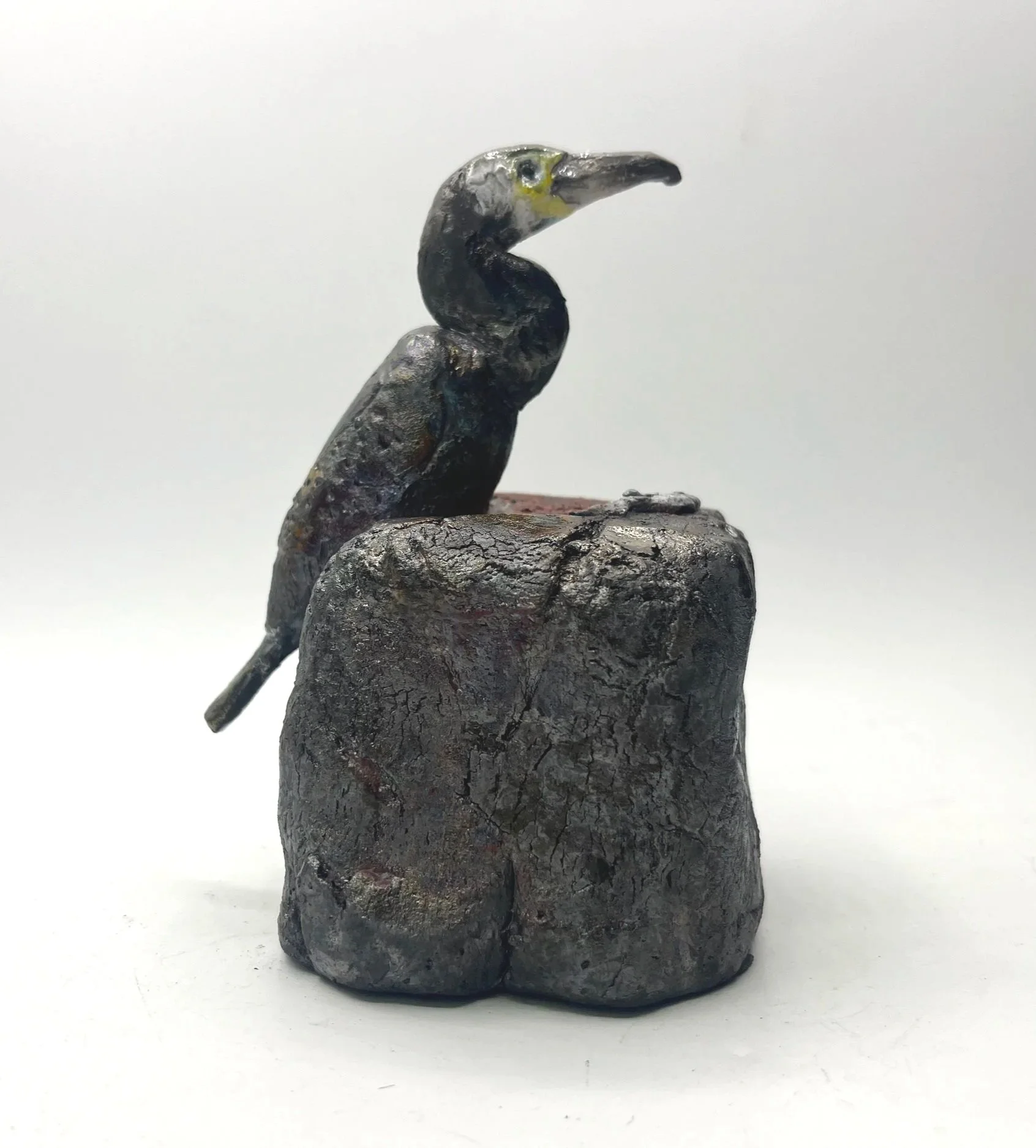 Cormorant+single+on+rock.jpg