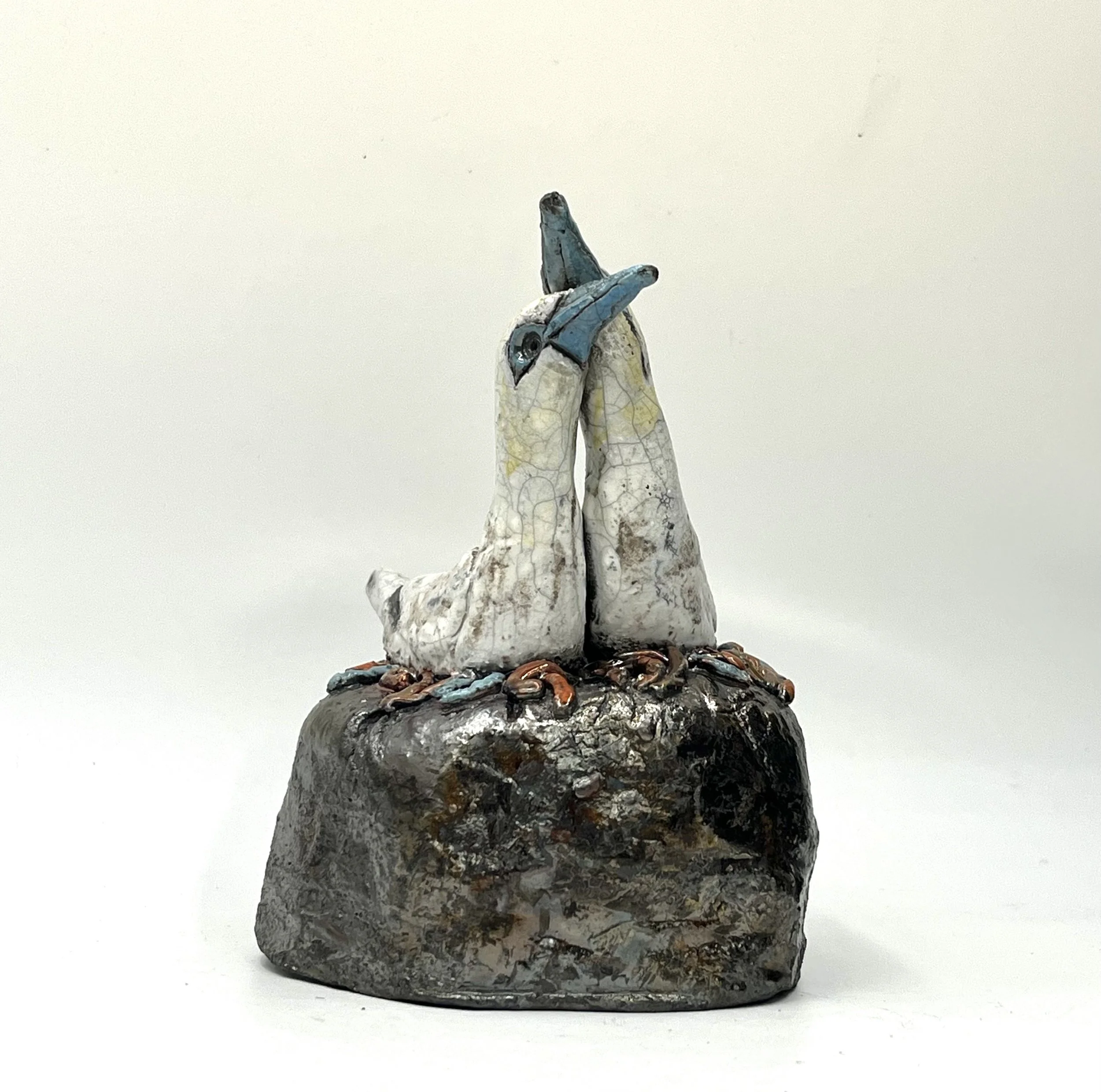 2 gannets seaweed nest.jpg