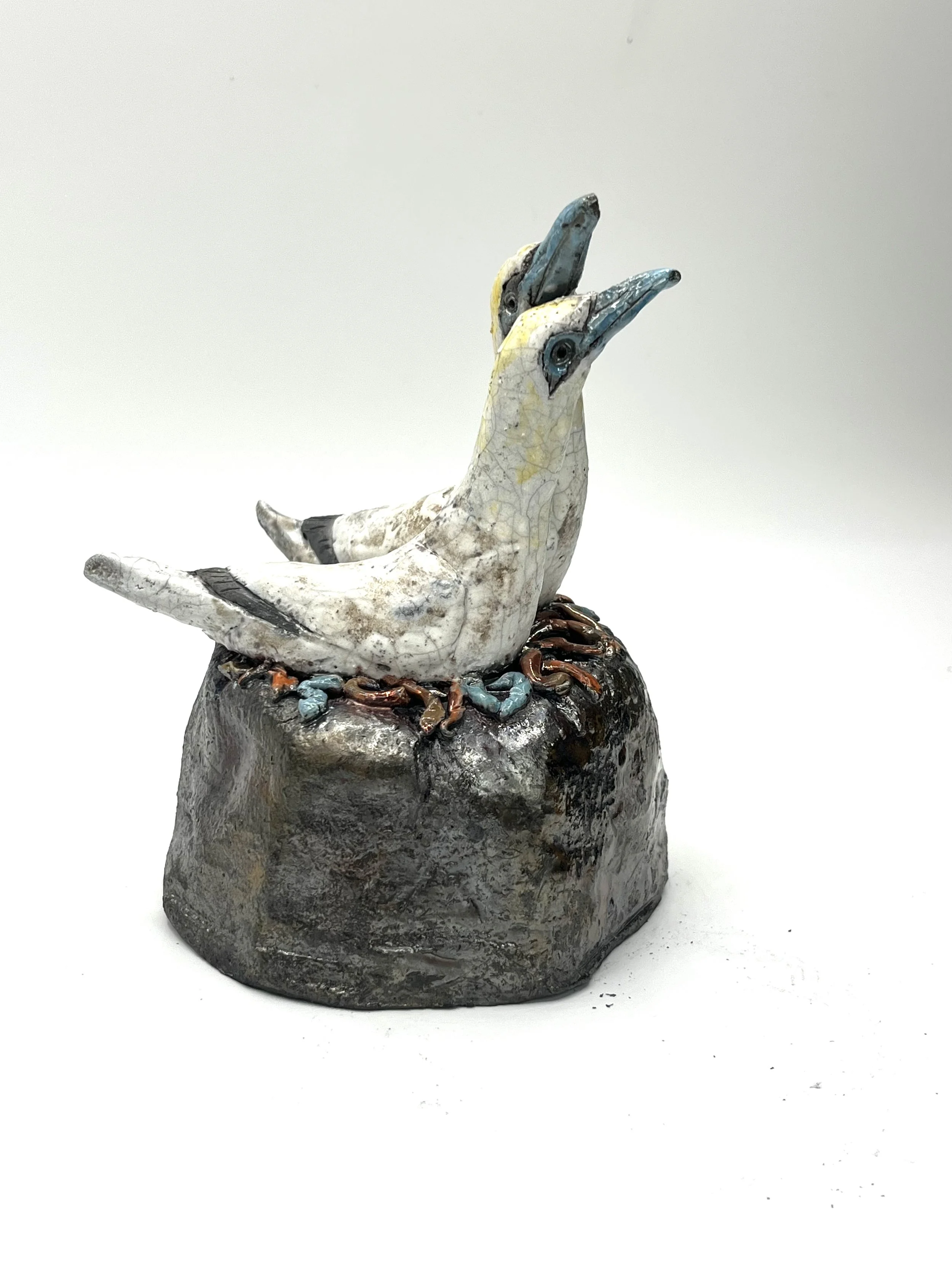 2 gannets seaweed nest 2heic.jpg