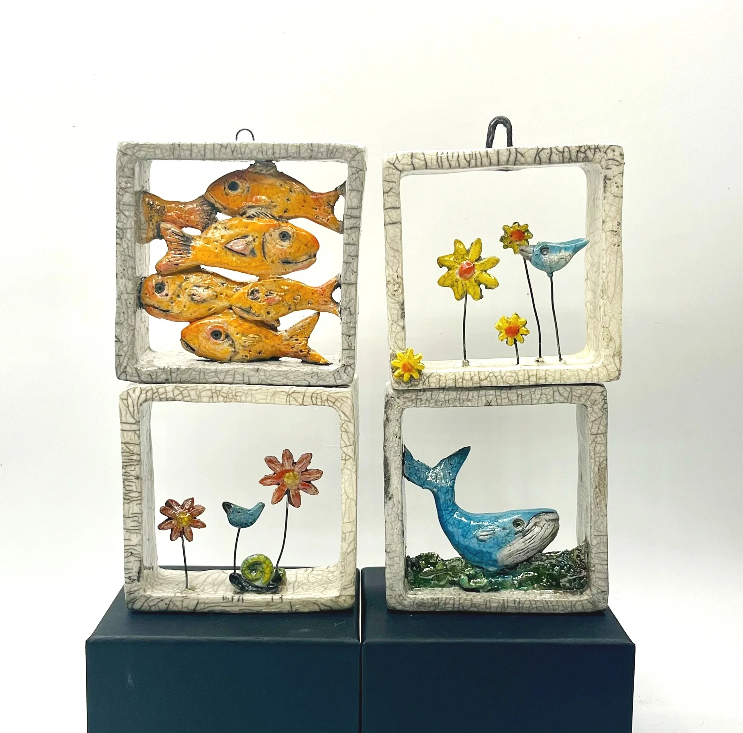 Biodiversity boxed sculptures
