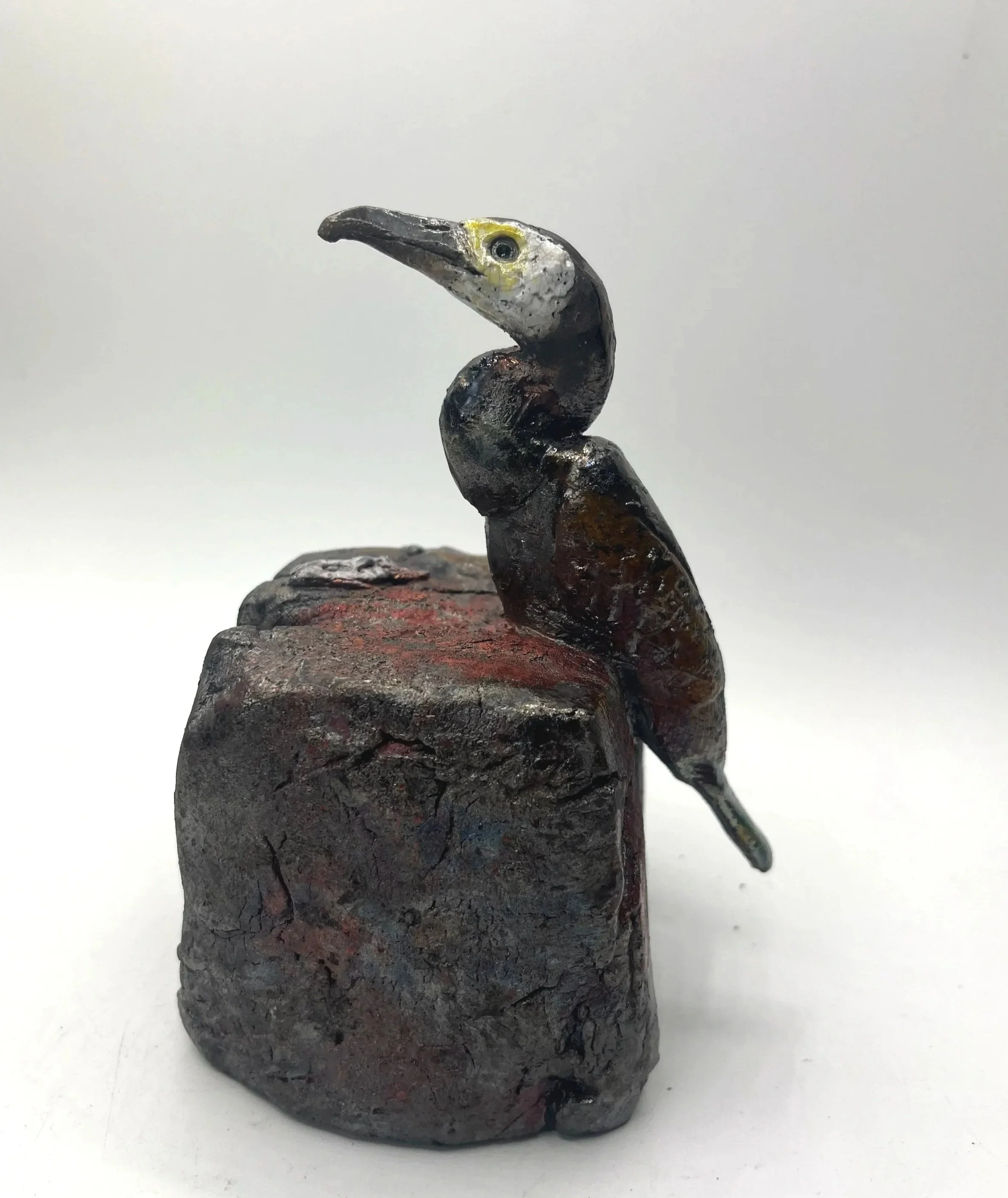 Cormorant%2Bsingle%2Bon%2Brock%2B2.jpg
