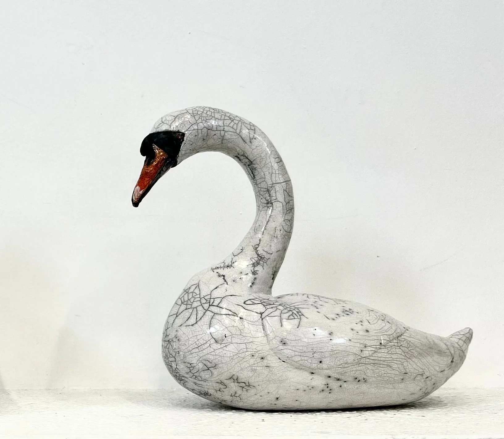 Mute swan.jpg