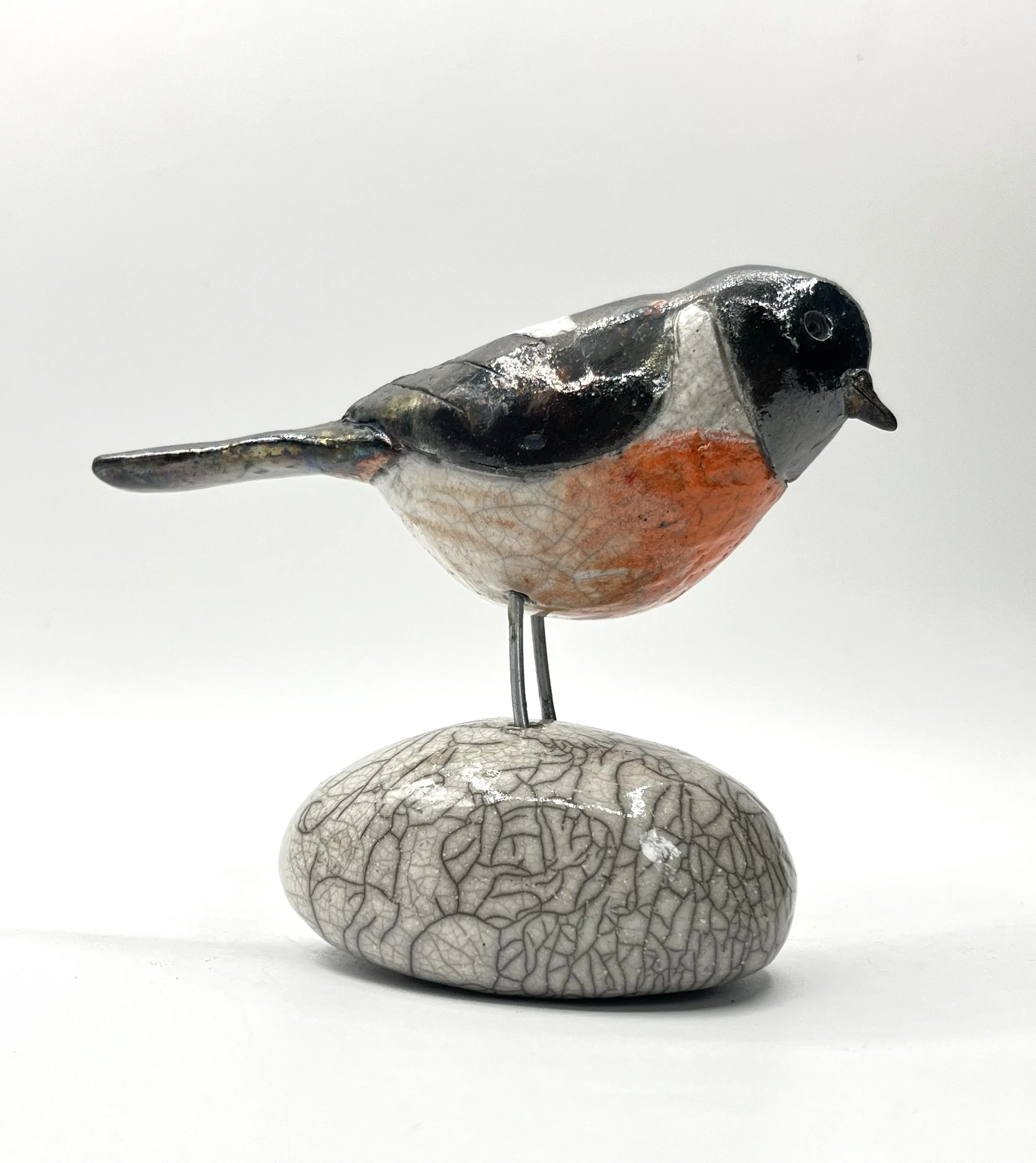 Stonechat.jpg