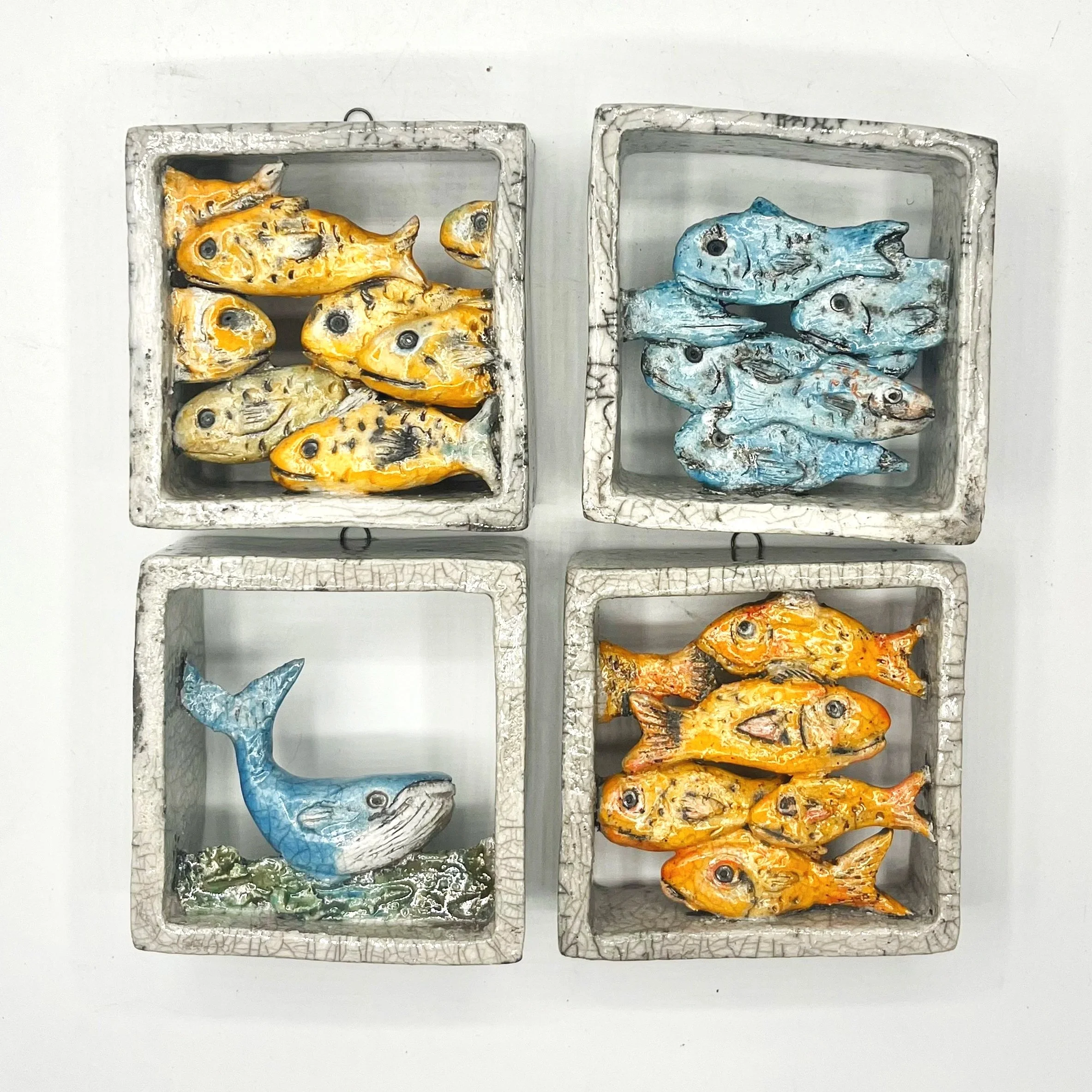Boxed+biodiversity2+.jpg