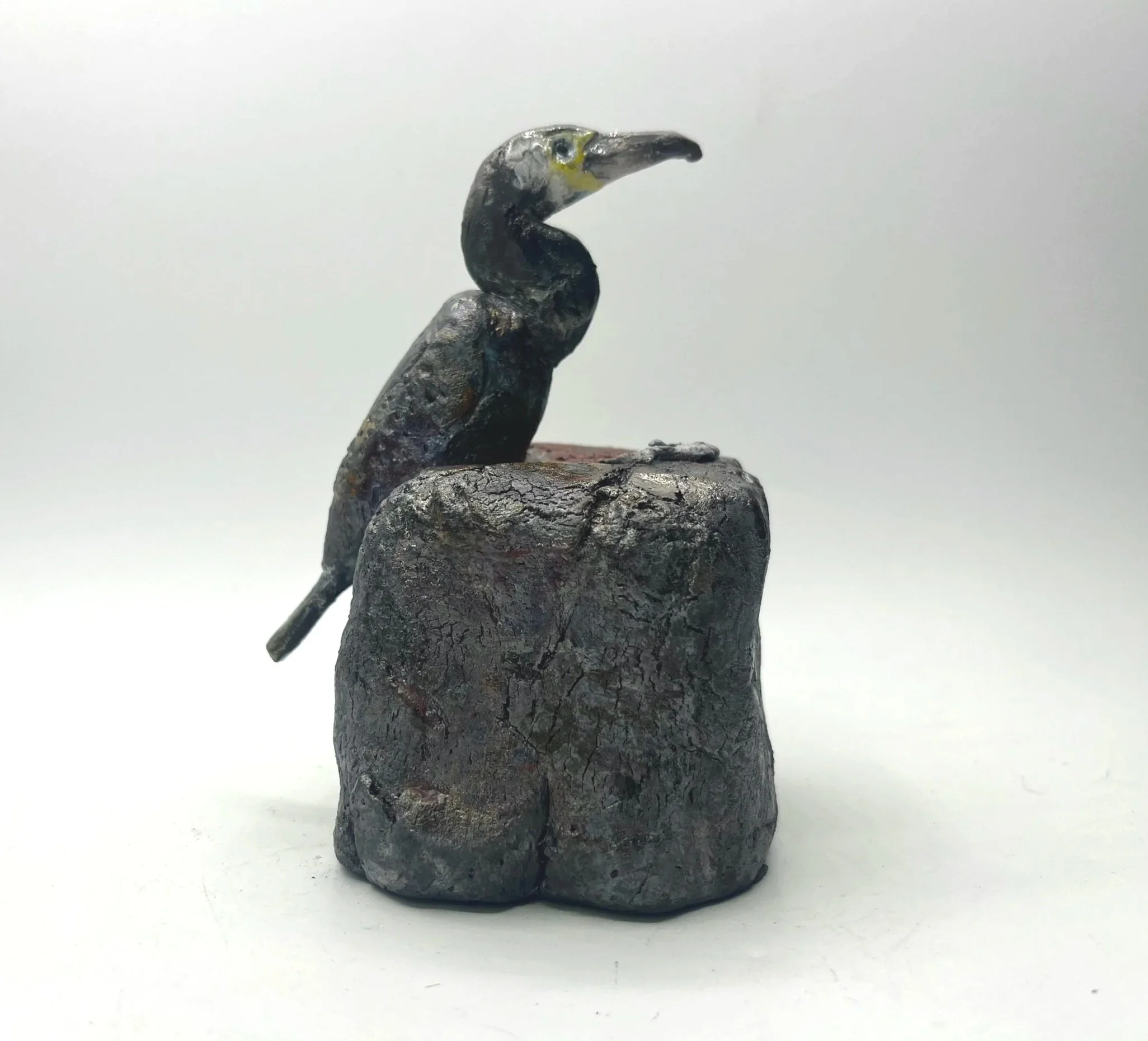 Cormorant+single+on+rock2.jpg