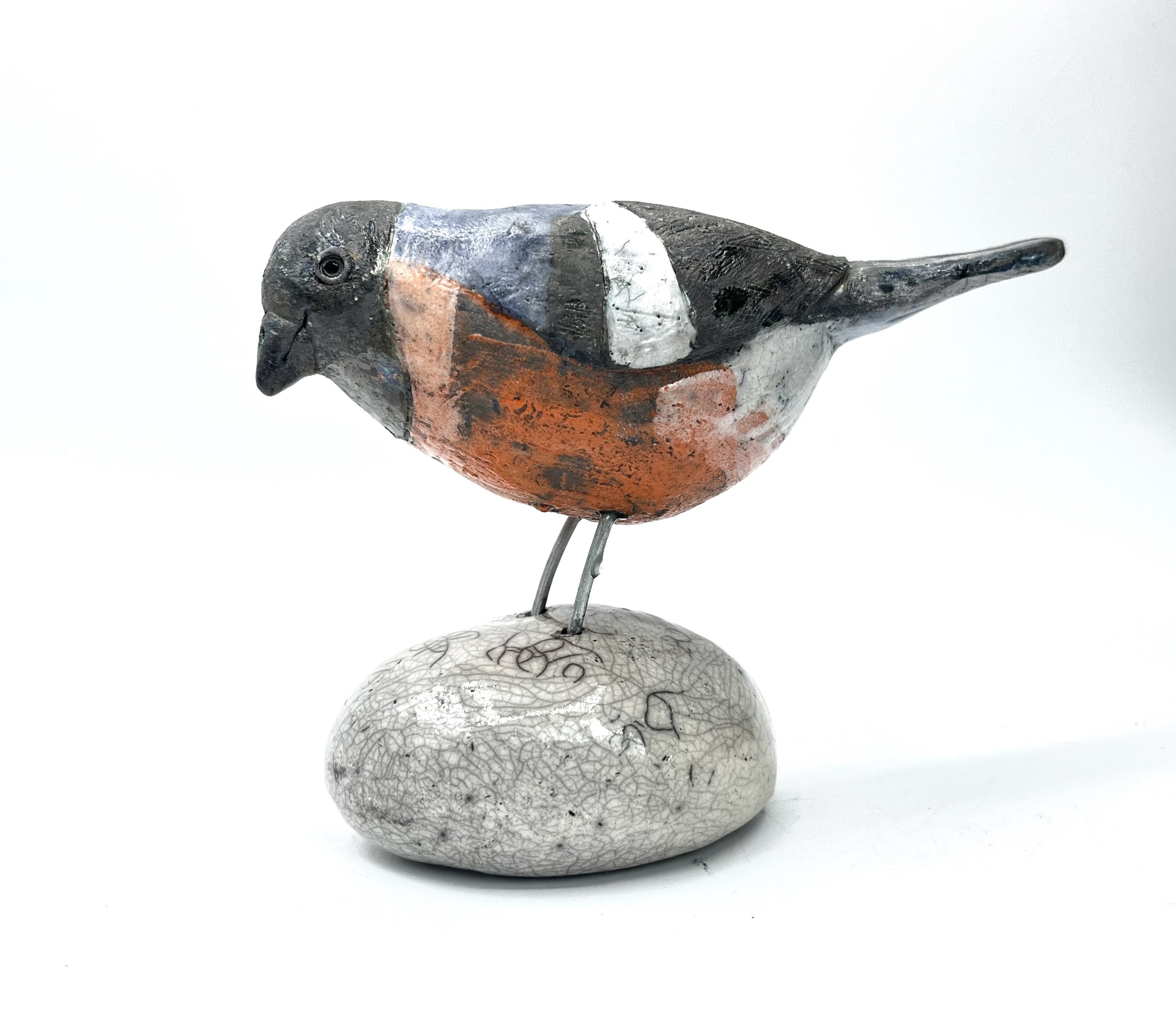bullfinch1.jpg