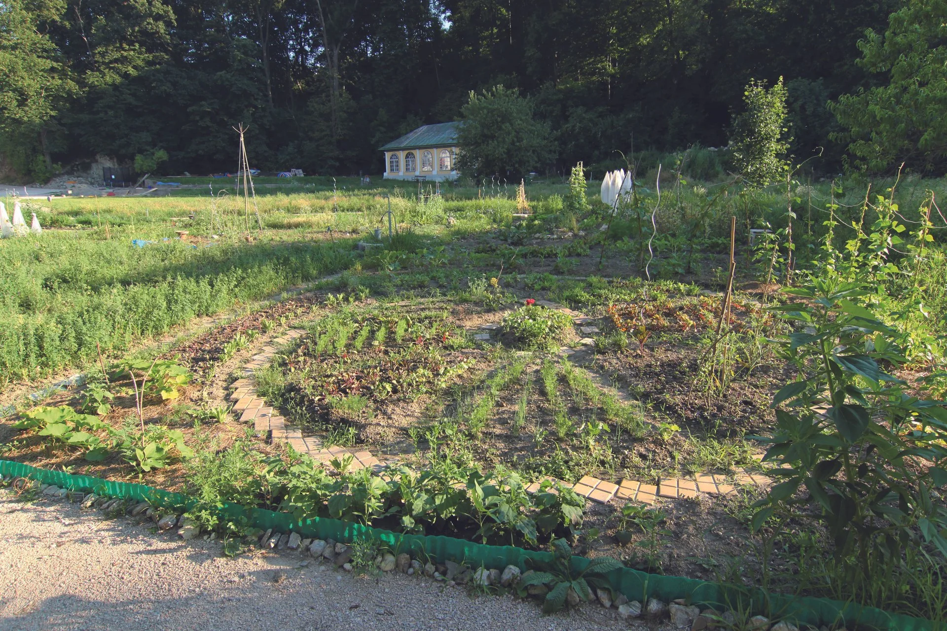 Gemüsegarten 300.jpg