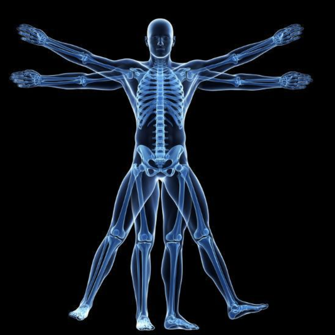 What Is A Zyto Scanner And How Does It Work