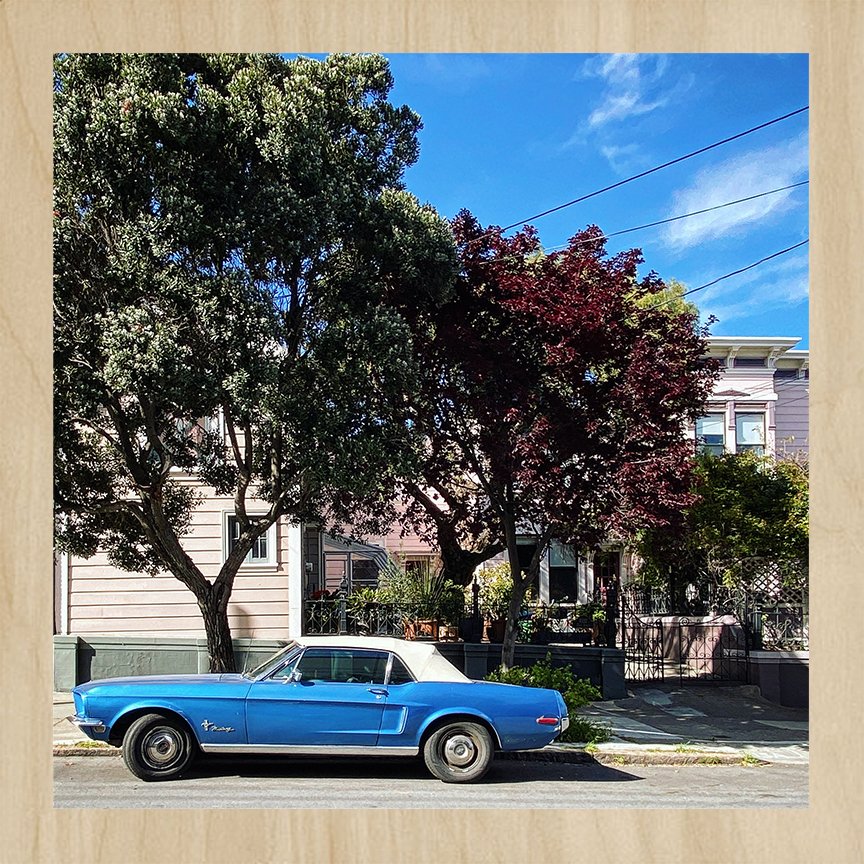 Mustang Pink & Blue