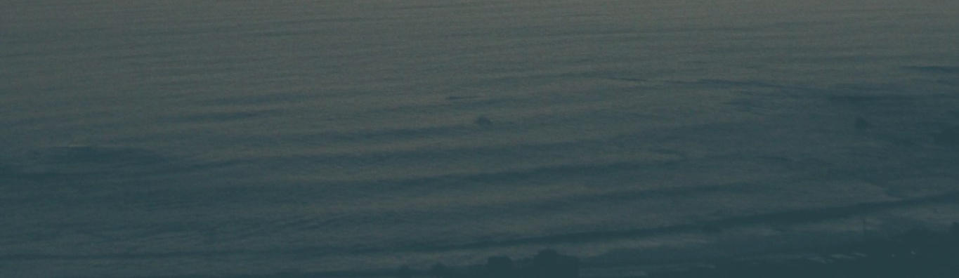 home-header1.png