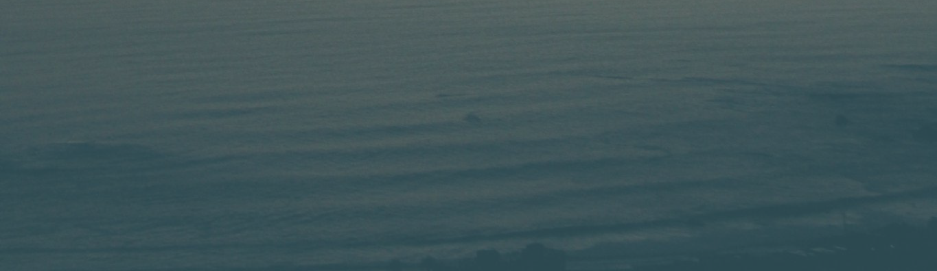 home-header.png