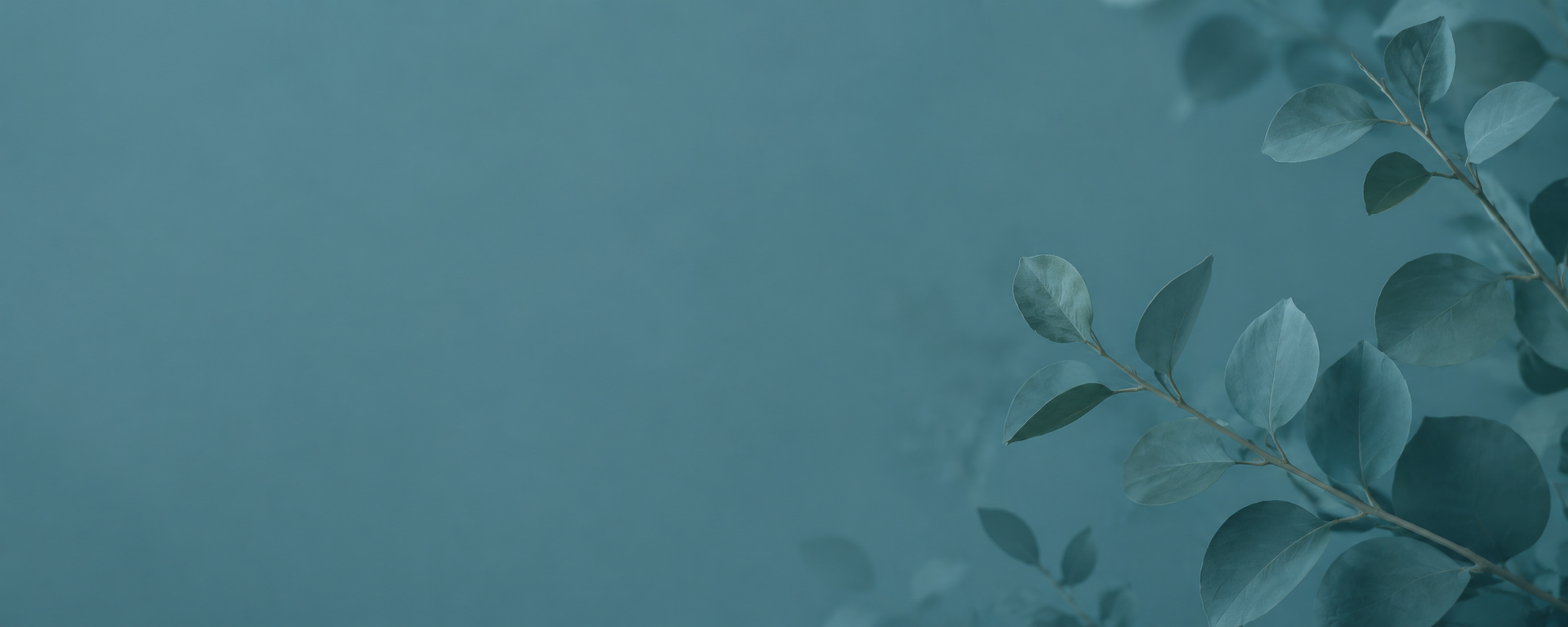 27701225-ff4f-456e-bd00-5869eacc899d.png