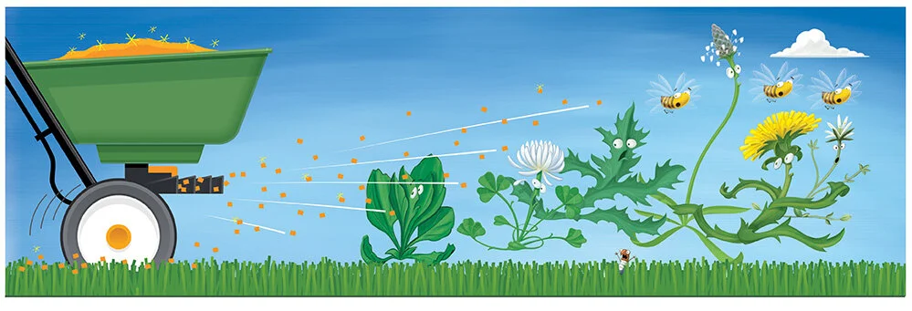 Weeds New2m.jpg
