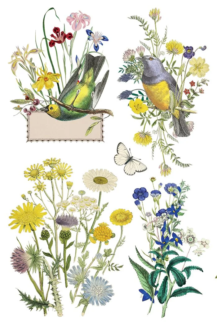 IOD-TRA-FLG Flora Greca page 7 small.jpg