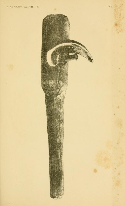 Plate VI Wood metal shell HOE.jpg