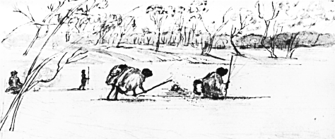 Why No Agriculture? Maybe it was due to Aboriginal Fundamentalism?
