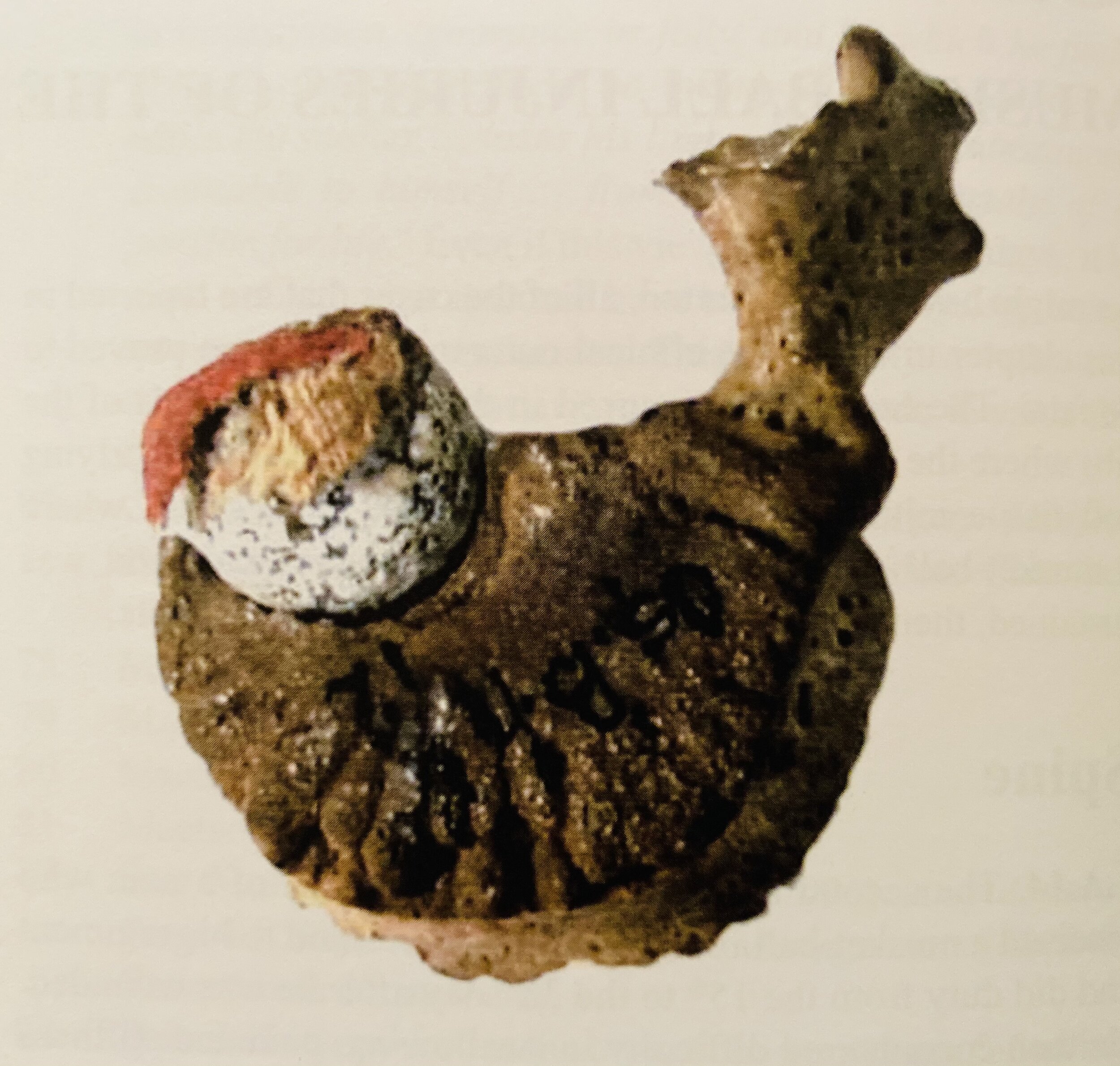 Fig. 6. Musket-ball and red cloth in vertebra