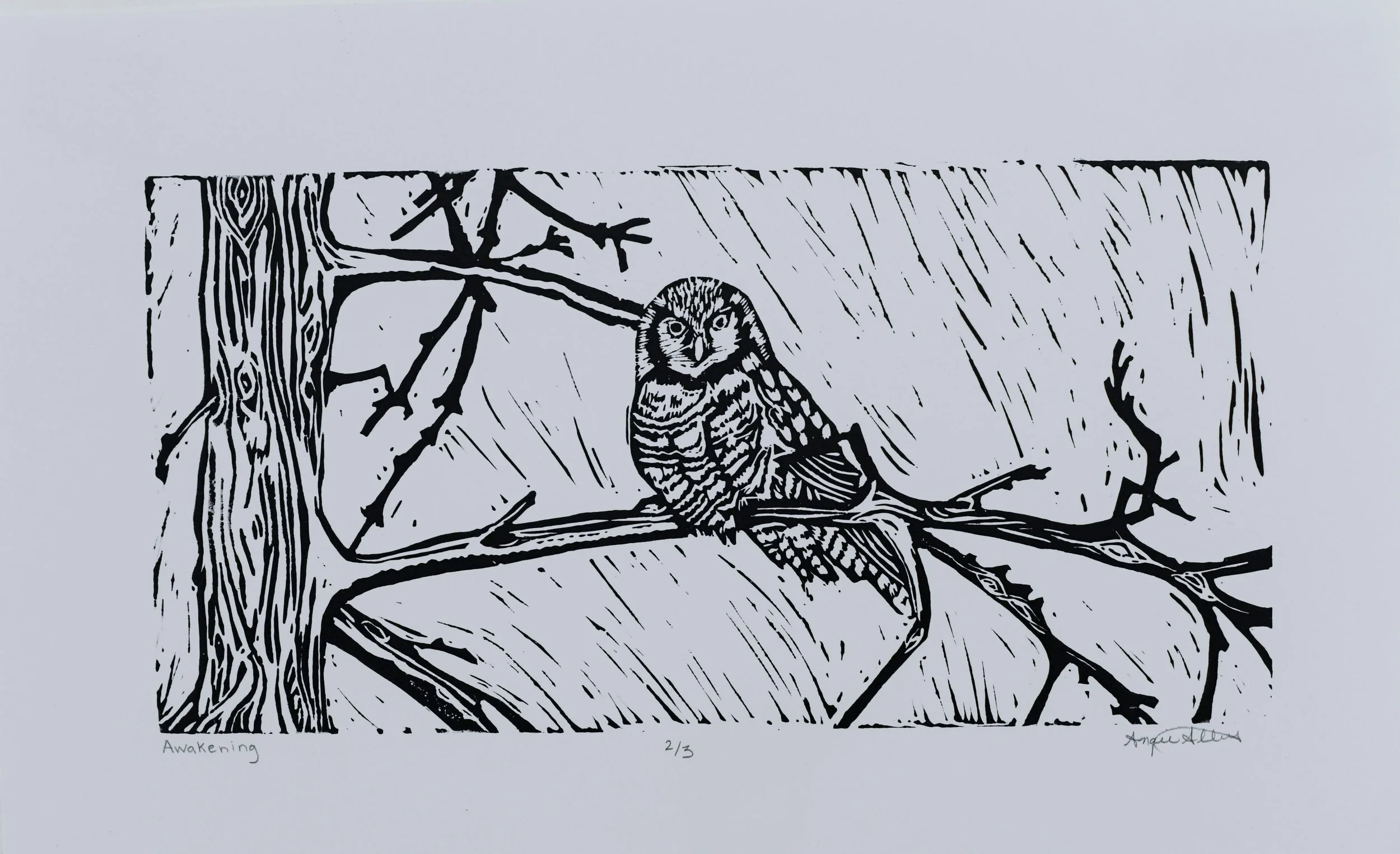   Awakening , 2021  Lino print on cotton paper  12” W x 6” H 